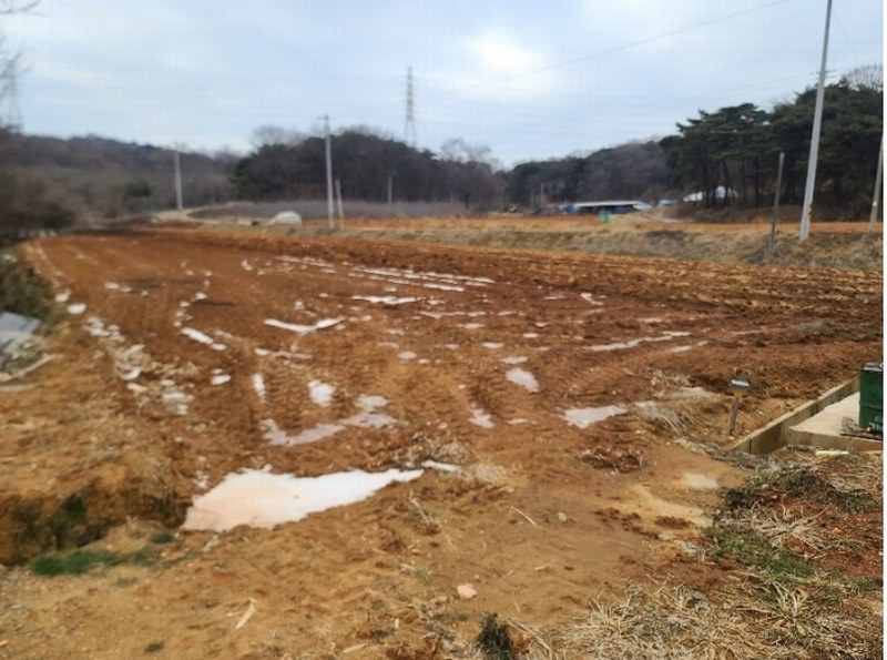 2025타경50181 충청남도 당진시 송악읍 영천리 286 농지 경매 이미지