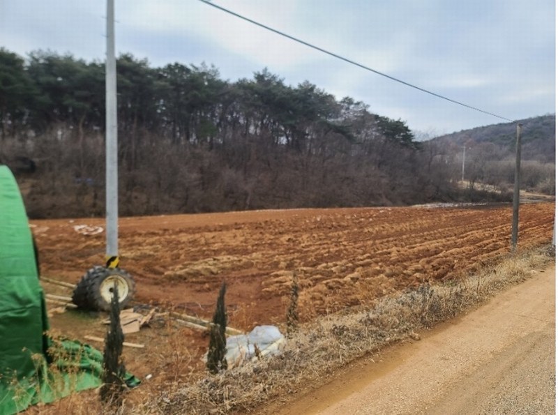 2025타경50181 충청남도 당진시 송악읍 영천리 286 농지 경매 이미지