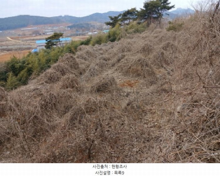 2025타경50365 충청남도 당진시 고대면 진관리 1241-3 임야 경매 이미지