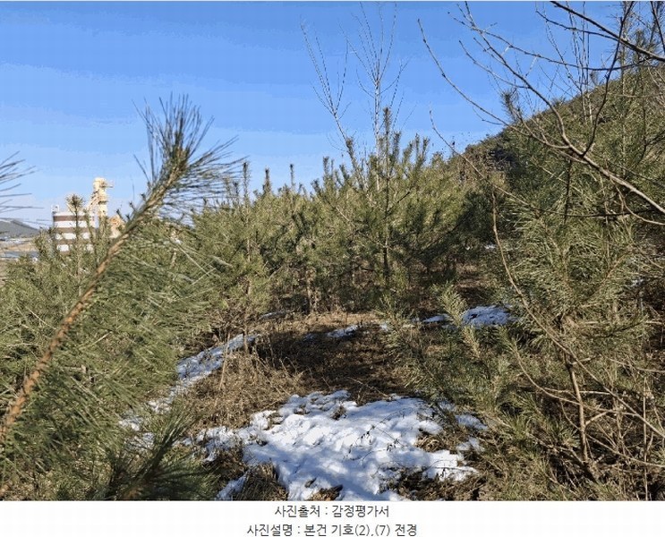 2025타경50365 충청남도 당진시 고대면 진관리 1241-3 임야 경매 이미지