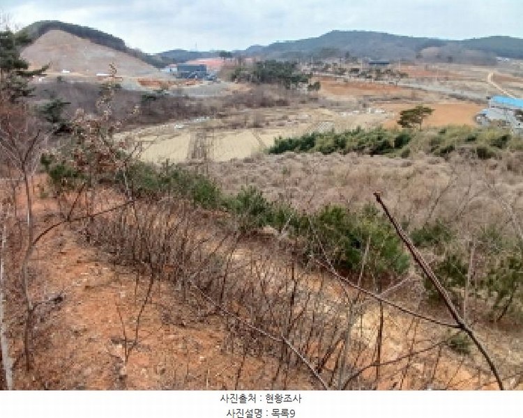 2025타경50365 충청남도 당진시 고대면 진관리 1241-3 임야 경매 이미지