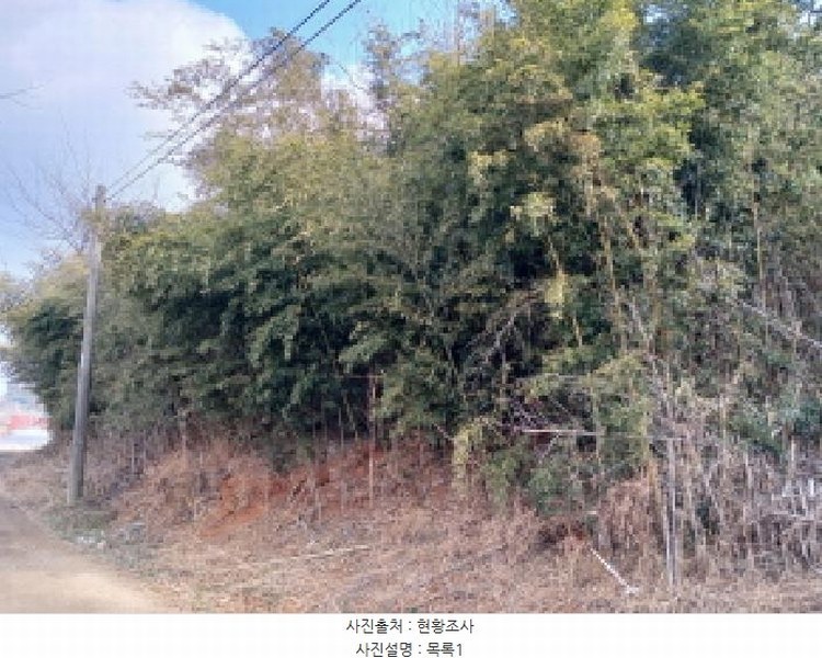 2025타경50365 충청남도 당진시 고대면 진관리 1241-3 임야 경매 이미지