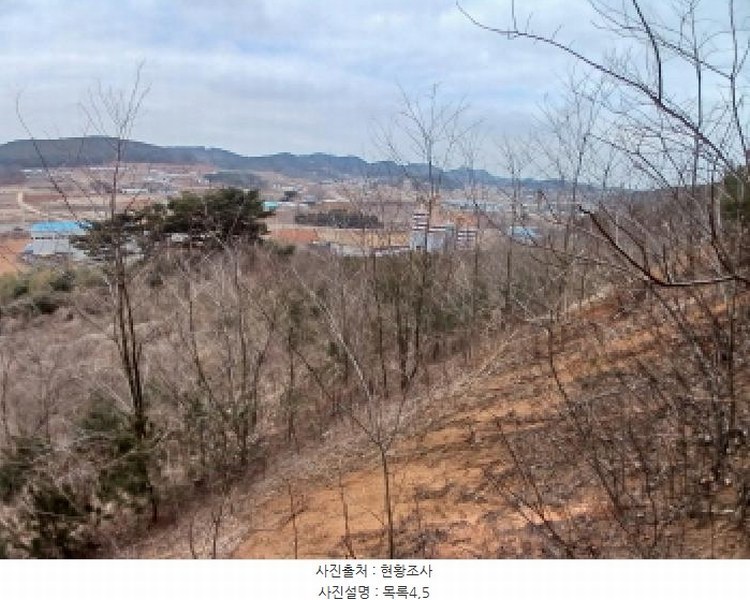 2025타경50365 충청남도 당진시 고대면 진관리 1241-3 임야 경매 이미지