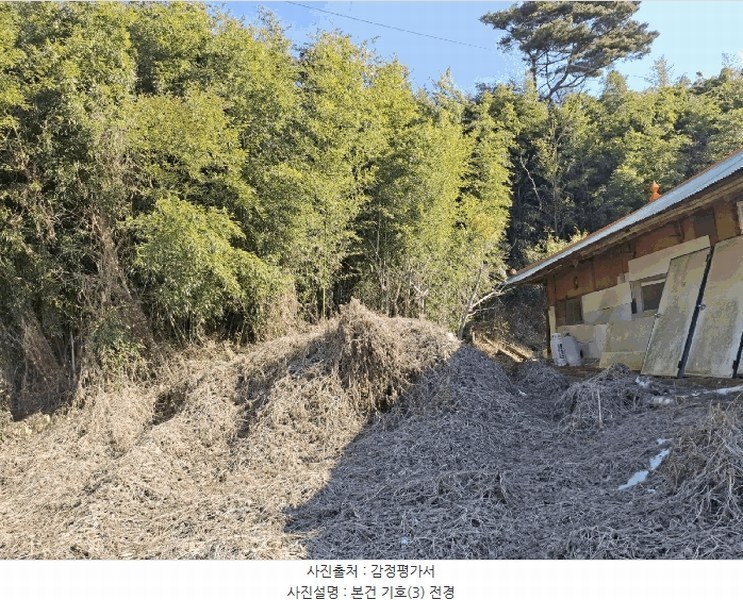 2025타경50365 충청남도 당진시 고대면 진관리 1241-3 임야 경매 이미지