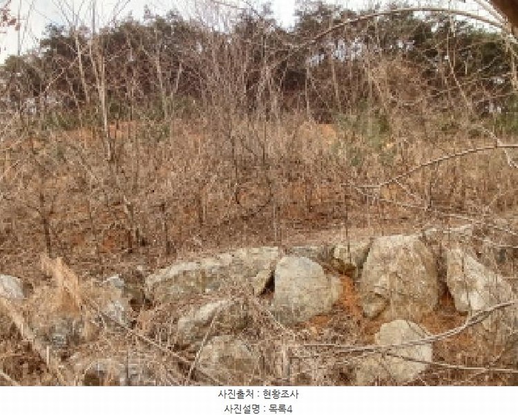 2025타경50365 충청남도 당진시 고대면 진관리 1241-3 임야 경매 이미지