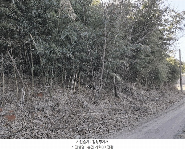 2025타경50365 충청남도 당진시 고대면 진관리 1241-3 임야 경매 이미지