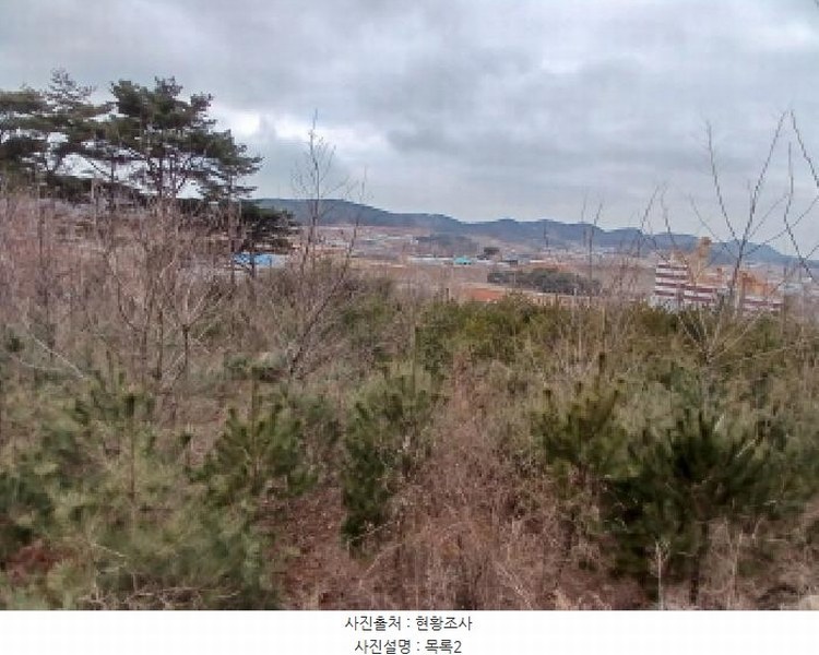 2025타경50365 충청남도 당진시 고대면 진관리 1241-3 임야 경매 이미지