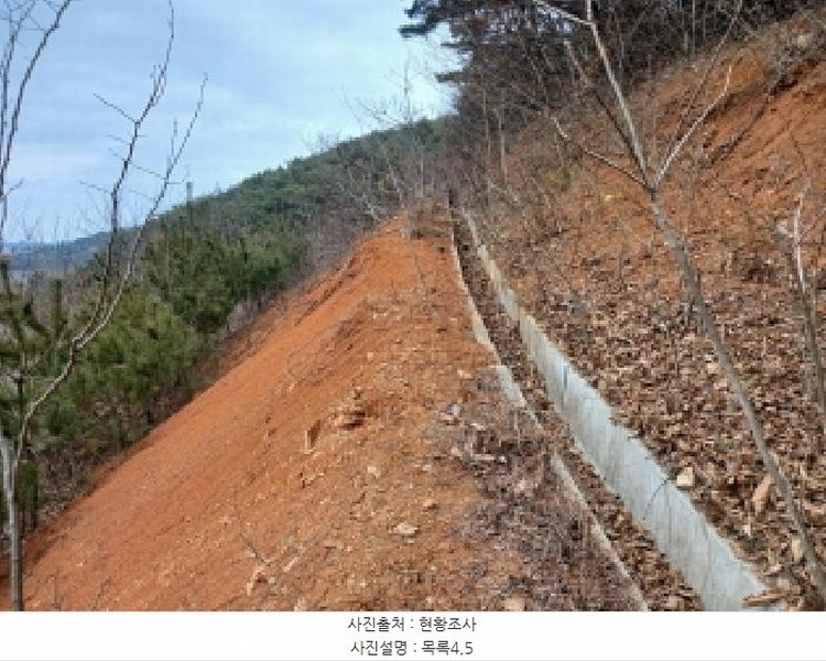 2025타경50365 충청남도 당진시 고대면 진관리 1241-3 임야 경매 이미지