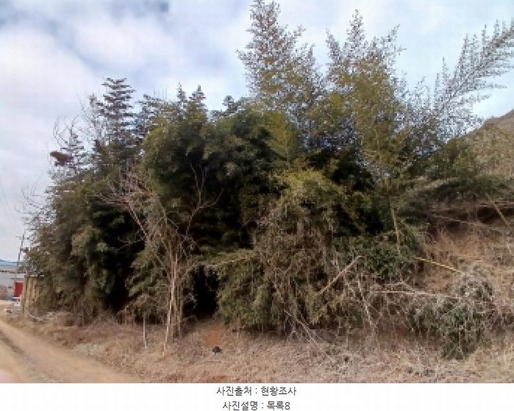 2025타경50365 충청남도 당진시 고대면 진관리 1241-3 임야 경매 이미지