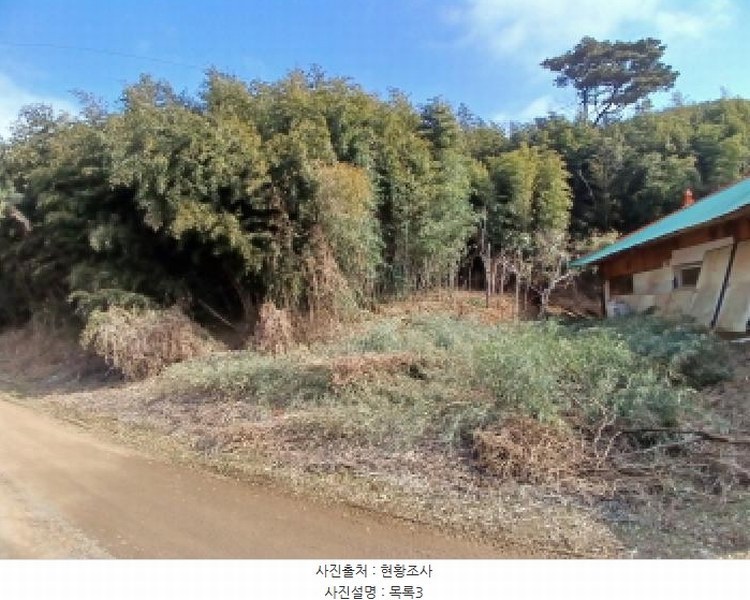 2025타경50365 충청남도 당진시 고대면 진관리 1241-3 임야 경매 이미지