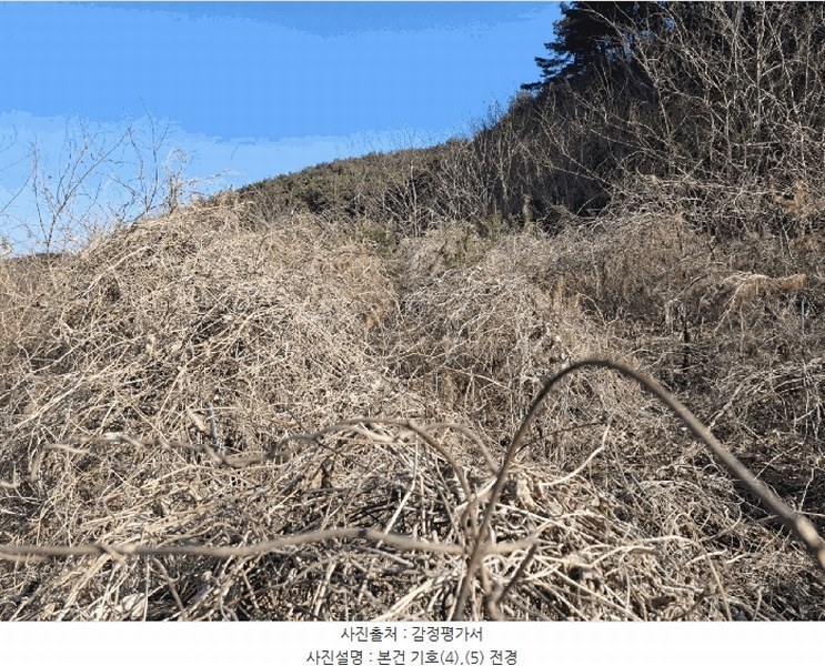 2025타경50365 충청남도 당진시 고대면 진관리 1241-3 임야 경매 이미지