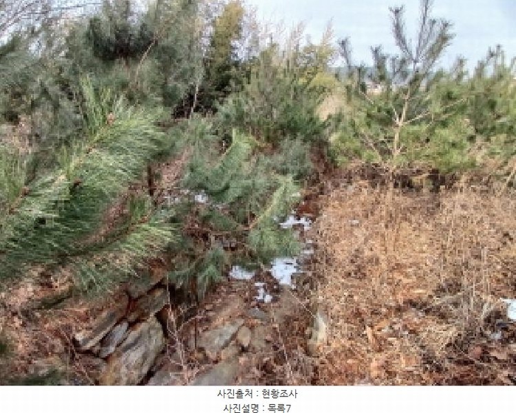 2025타경50365 충청남도 당진시 고대면 진관리 1241-3 임야 경매 이미지