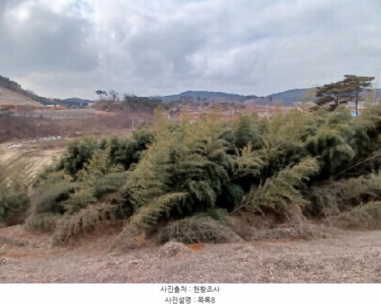 2025타경50365 충청남도 당진시 고대면 진관리 1241-3 임야 경매 이미지