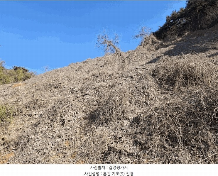 2025타경50365 충청남도 당진시 고대면 진관리 1241-3 임야 경매 이미지