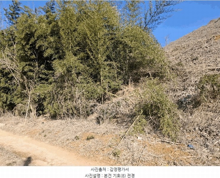 2025타경50365 충청남도 당진시 고대면 진관리 1241-3 임야 경매 이미지