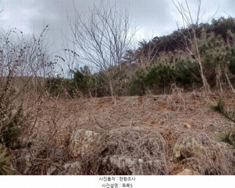 2025타경50365 충청남도 당진시 고대면 진관리 1241-3 임야 경매 이미지