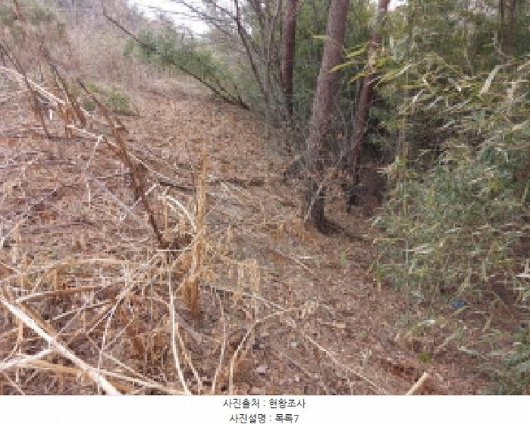 2025타경50365 충청남도 당진시 고대면 진관리 1241-3 임야 경매 이미지