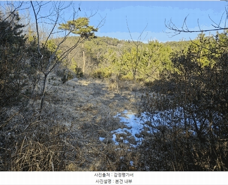 2025타경50785 충청남도 서산시 지곡면 환성리 562-6 임야 경매 이미지