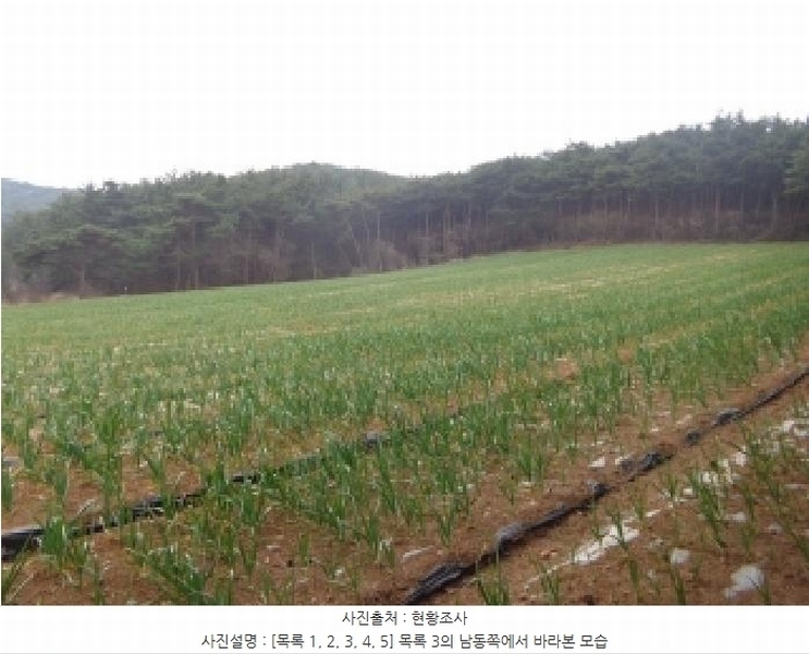 2025타경50945 충청남도 태안군 안면읍 창기리 402-1 농지 경매 이미지