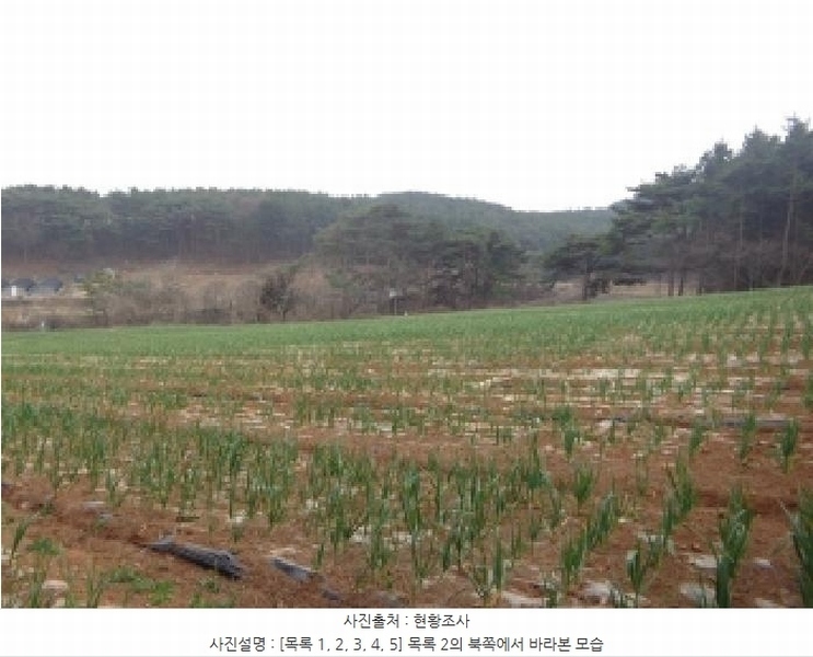 2025타경50945 충청남도 태안군 안면읍 창기리 402-1 농지 경매 이미지