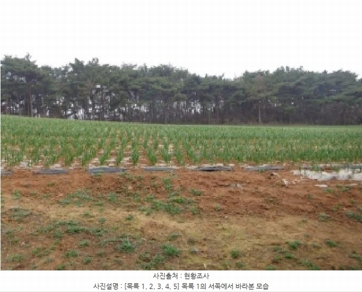 2025타경50945 충청남도 태안군 안면읍 창기리 402-1 농지 경매 이미지