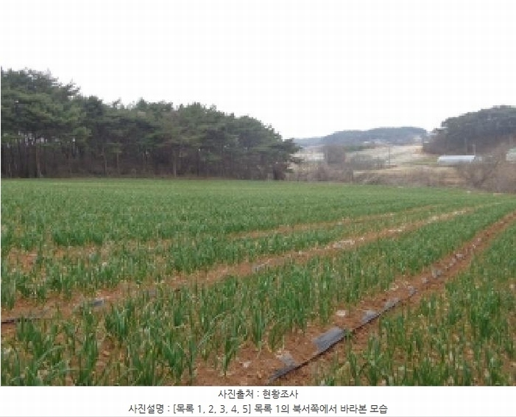 2025타경50945 충청남도 태안군 안면읍 창기리 402-1 농지 경매 이미지