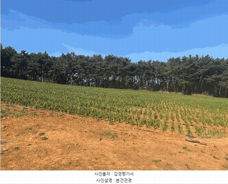 2025타경50945 충청남도 태안군 안면읍 창기리 402-1 농지 경매 이미지