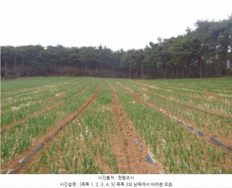 2025타경50945 충청남도 태안군 안면읍 창기리 402-1 농지 경매 이미지