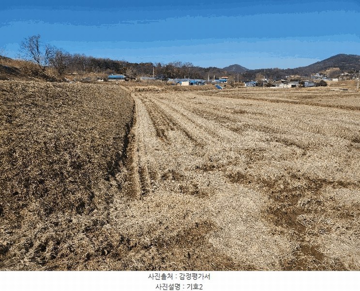 2025타경50968 충청남도 당진시 면천면 성하리 53-1 농지 경매 이미지