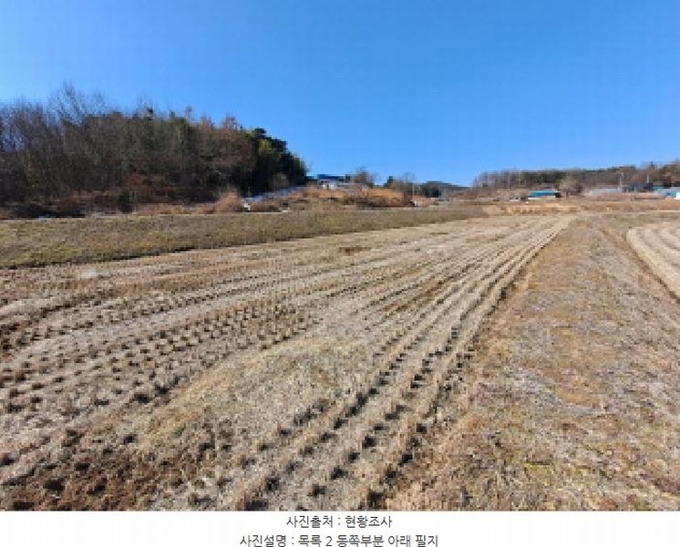 2025타경50968 충청남도 당진시 면천면 성하리 53-1 농지 경매 이미지