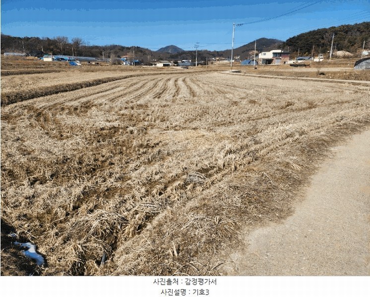 2025타경50968 충청남도 당진시 면천면 성하리 53-1 농지 경매 이미지