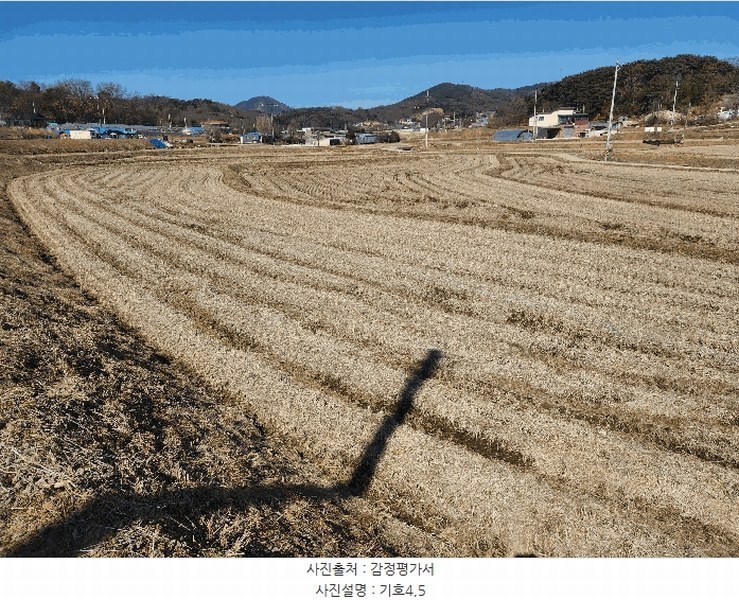 2025타경50968 충청남도 당진시 면천면 성하리 53-1 농지 경매 이미지
