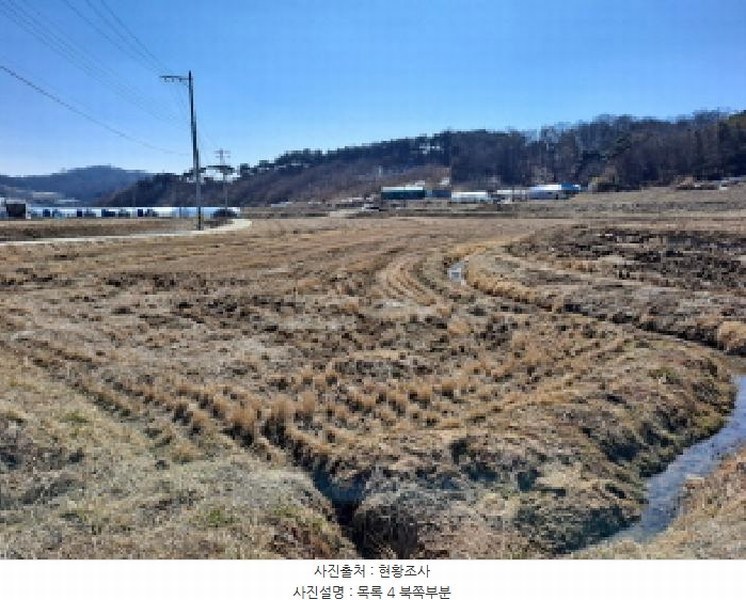 2025타경50968 충청남도 당진시 면천면 성하리 53-1 농지 경매 이미지