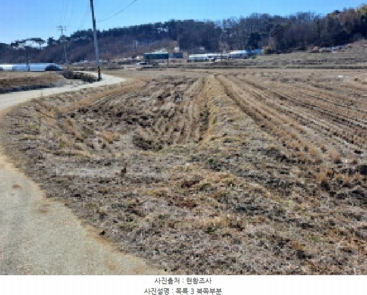 2025타경50968 충청남도 당진시 면천면 성하리 53-1 농지 경매 이미지