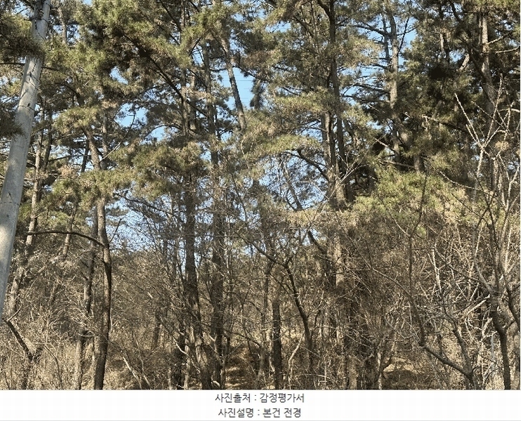 2025타경51139 충청남도 서산시 대산읍 화곡리 981-18 임야 경매 이미지