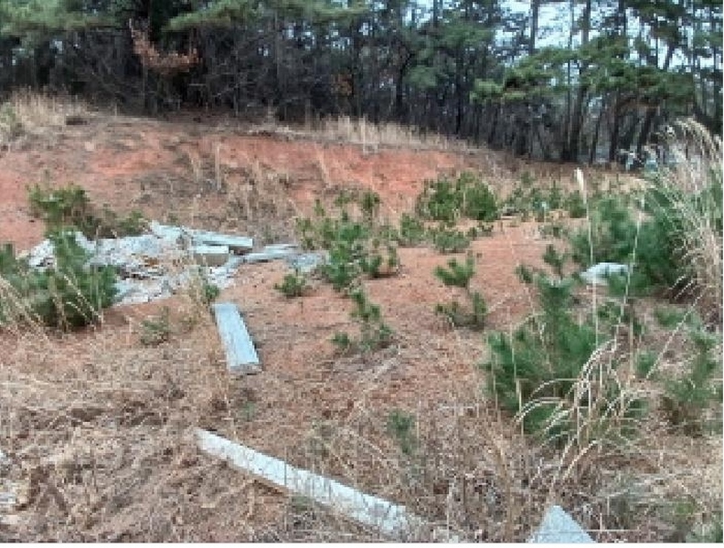 2025타경51139 충청남도 서산시 대산읍 화곡리 981-18 임야 경매 이미지