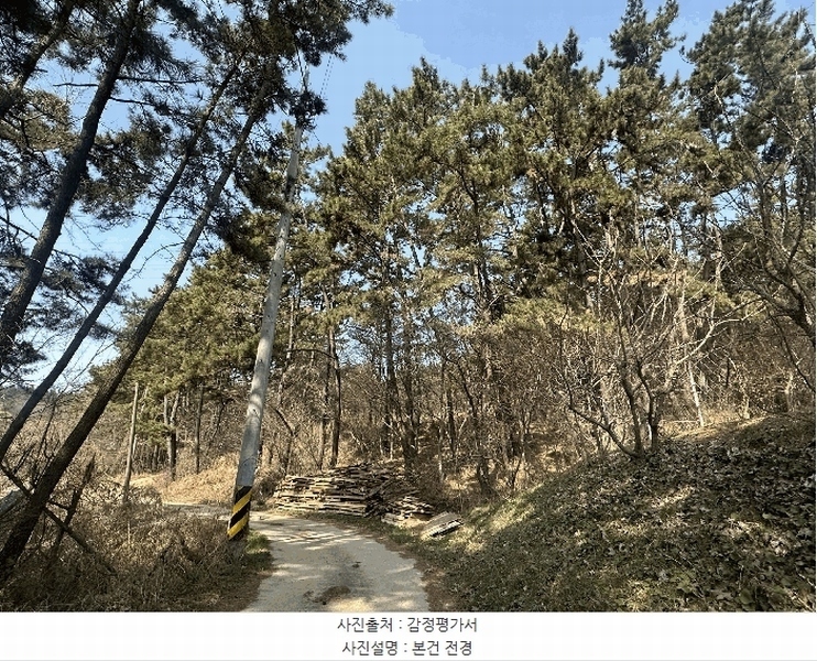 2025타경51139 충청남도 서산시 대산읍 화곡리 981-18 임야 경매 이미지
