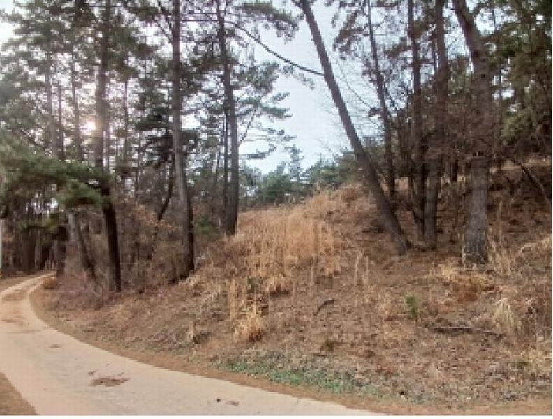 2025타경51139 충청남도 서산시 대산읍 화곡리 981-18 임야 경매 이미지