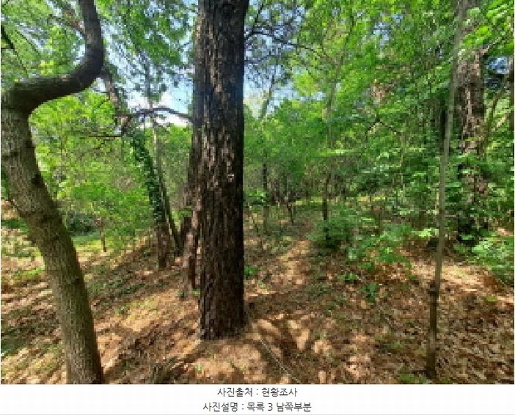 2025타경51219 충청남도 당진시 송악읍 월곡리 253-5 창고 경매 이미지