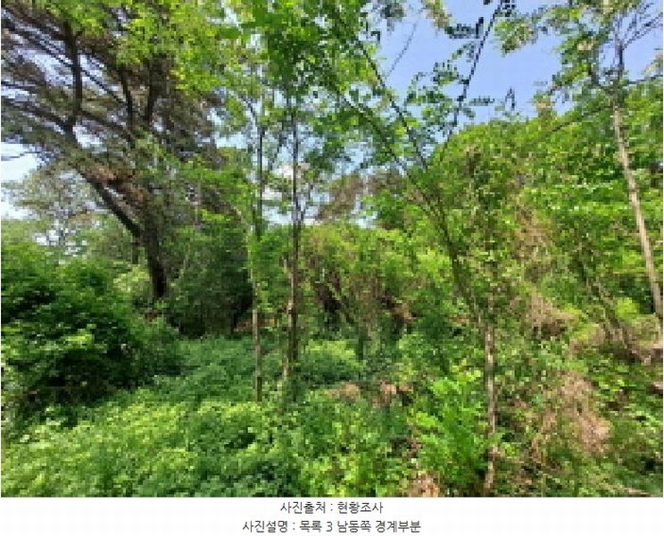 2025타경51219 충청남도 당진시 송악읍 월곡리 253-5 창고 경매 이미지