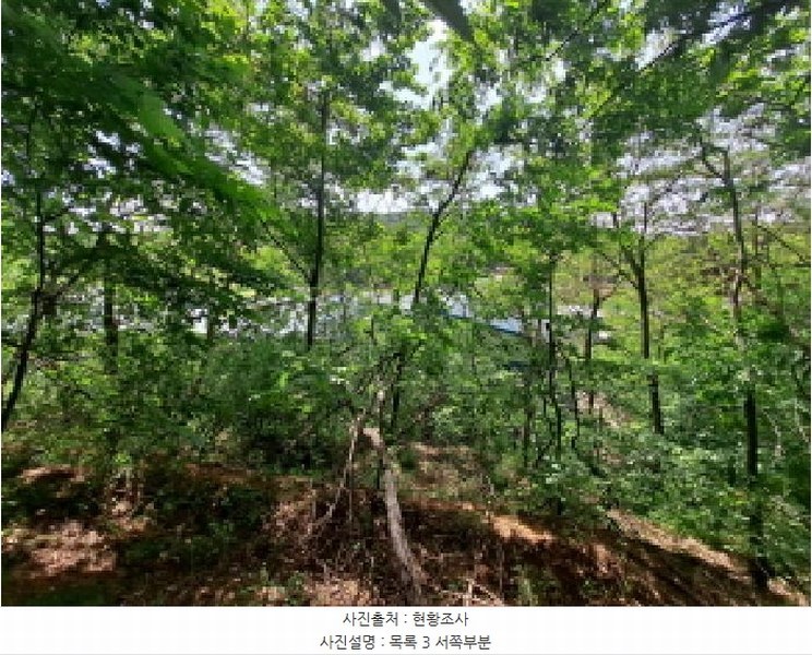 2025타경51219 충청남도 당진시 송악읍 월곡리 253-5 창고 경매 이미지