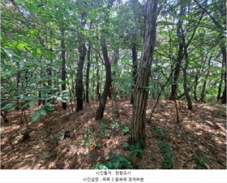 2025타경51219 충청남도 당진시 송악읍 월곡리 253-5 창고 경매 이미지