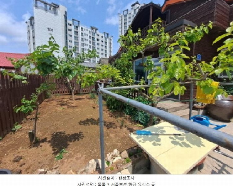 2025타경51309 충청남도 당진시 송악읍 중흥리 884-7 주택 경매 이미지