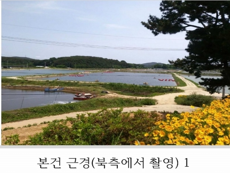 2023타경54035 충청남도 태안군 남면 신온리 820 양어장(축양,양식) 경매 이미지