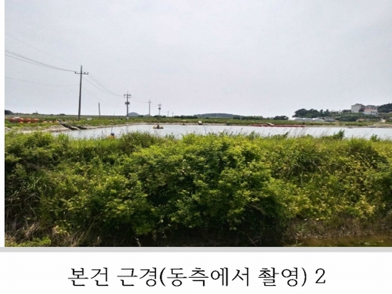 2023타경54035 충청남도 태안군 남면 신온리 820 양어장(축양,양식) 경매 이미지
