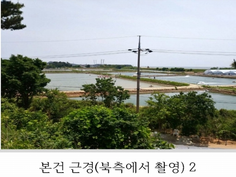 2023타경54035 충청남도 태안군 남면 신온리 820 양어장(축양,양식) 경매 이미지
