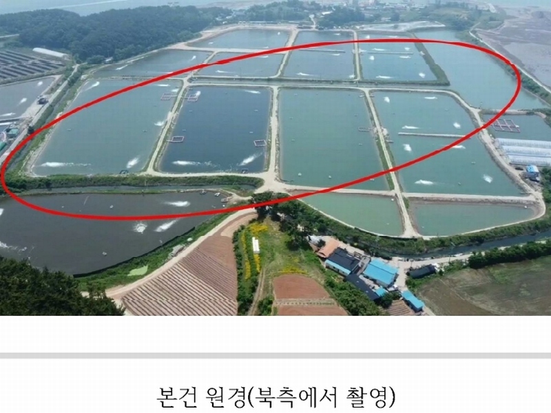 2023타경54035 충청남도 태안군 남면 신온리 820 양어장(축양,양식) 경매 이미지