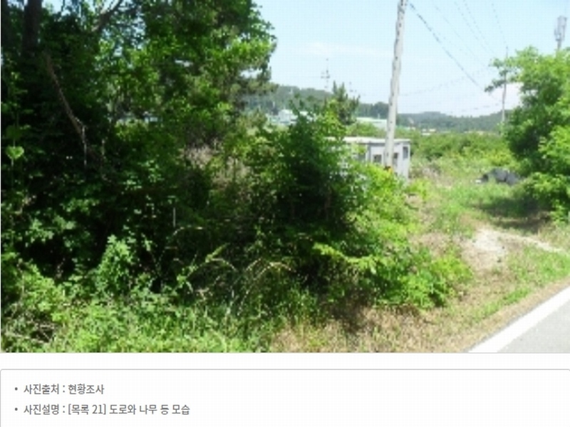 2023타경54035 충청남도 태안군 남면 신온리 820 양어장(축양,양식) 경매 이미지