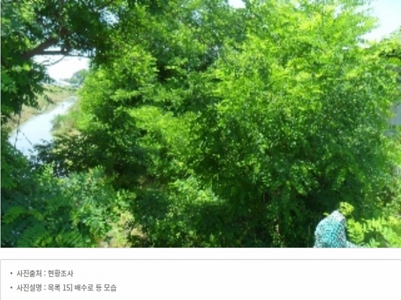 2023타경54035 충청남도 태안군 남면 신온리 820 양어장(축양,양식) 경매 이미지