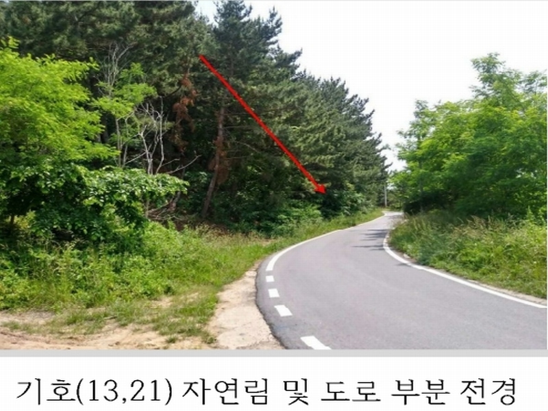 2023타경54035 충청남도 태안군 남면 신온리 820 양어장(축양,양식) 경매 이미지